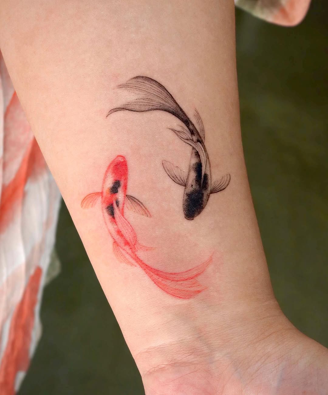 Animal