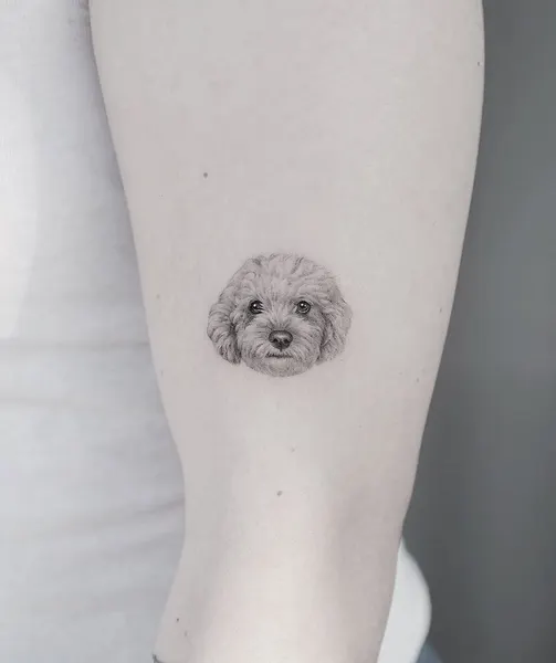 부엉이