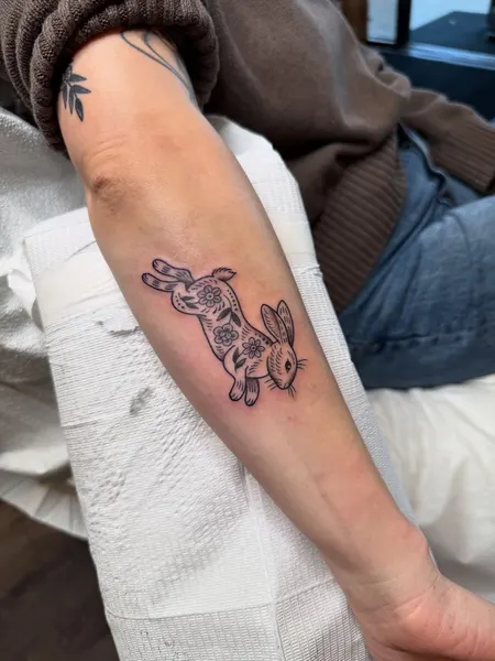 Dragon, 악어