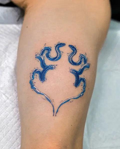산호, Dragon, 해파리, 문어, 크라켄