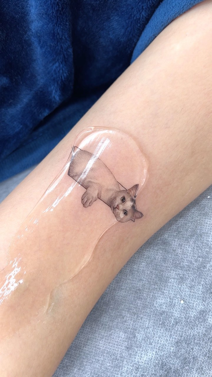 소, Mini, 돼지, 다람쥐, Animal, 함사, 너구리, 멧돼지, 나무늘보