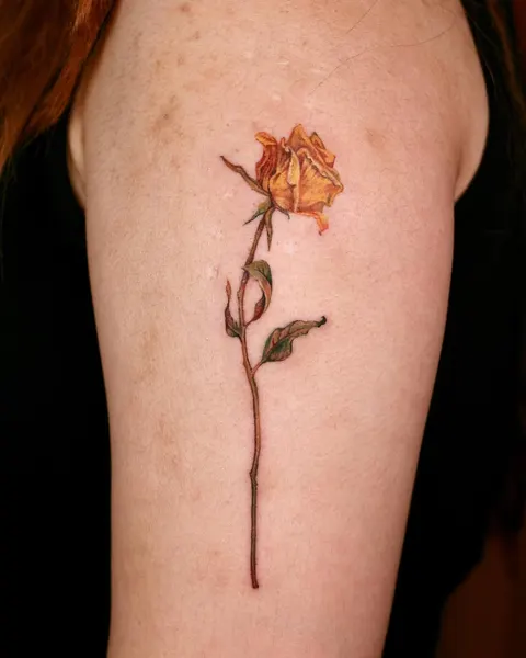 Flower, Rose, Nature