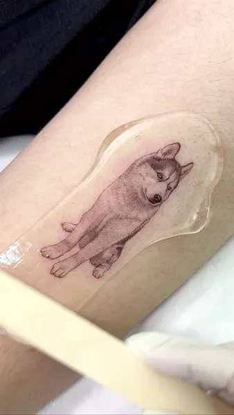 고양이, 여우 가면