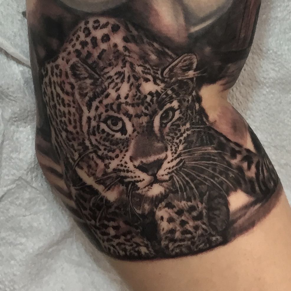 Animal, 치타, 표범, 재규어, 팬서