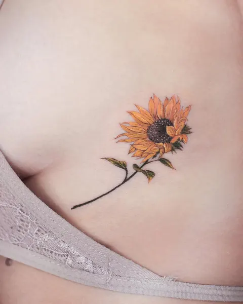 Flower, 데이지, 해바라기