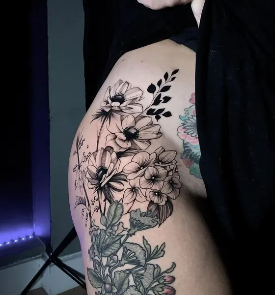Flower, Rose