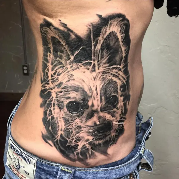 Animal