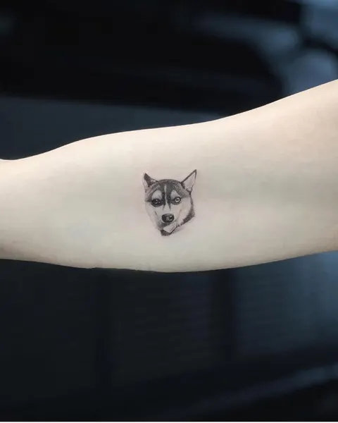 여우