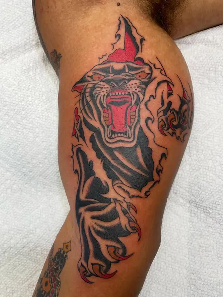Tiger, Animal
