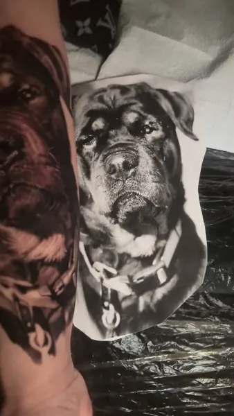 Animal