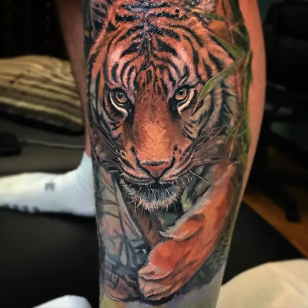Tiger