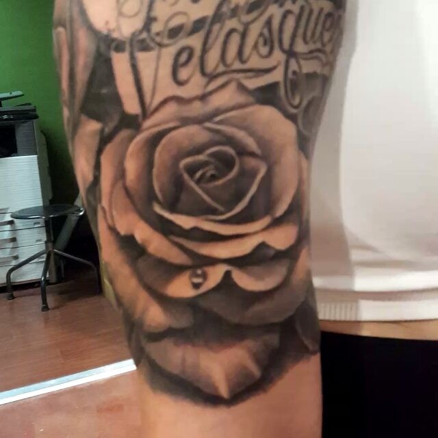Flower, Rose, Lettering