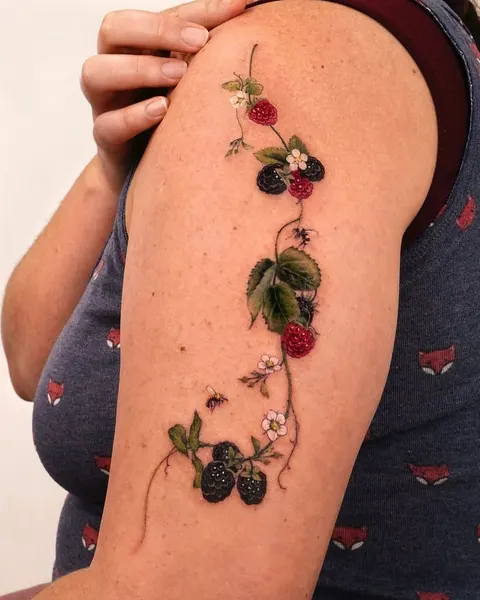 Flower, Rose, Nature