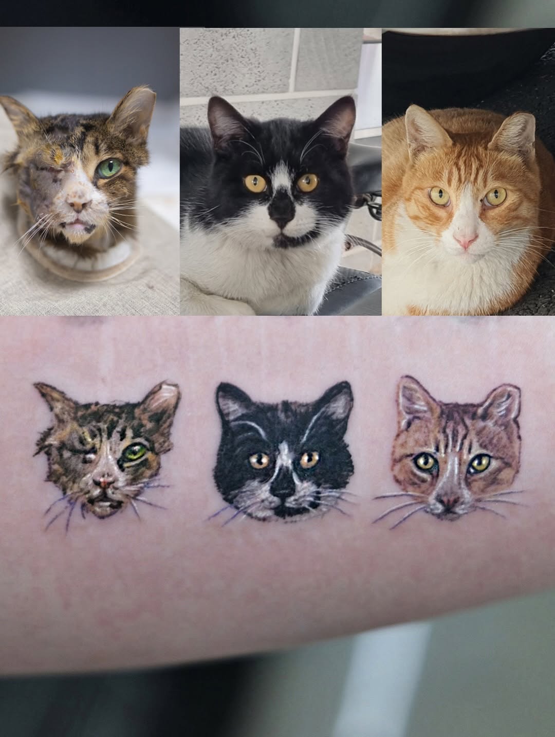 tattooist_yammy