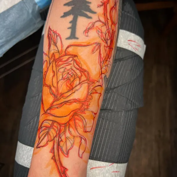 숲, Flower, Rose