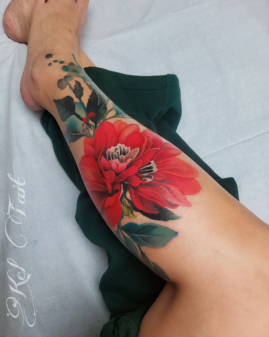 Flower, Rose