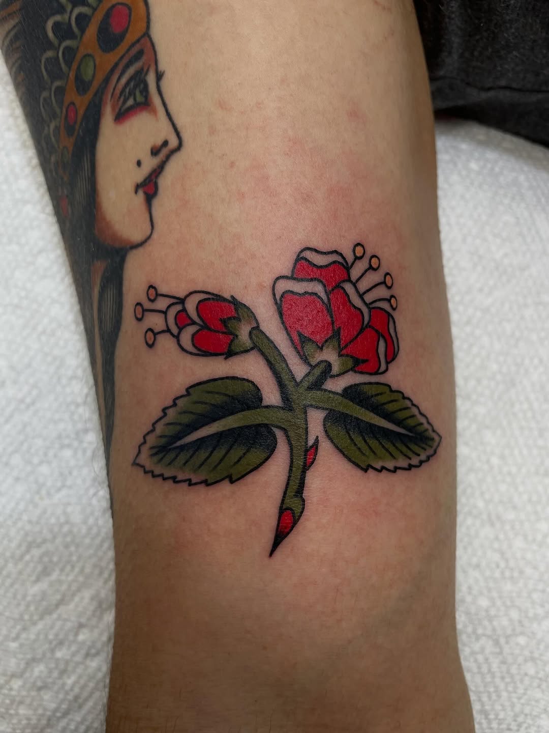 Flower, Rose, Lettering