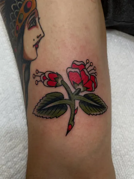 Flower, Rose, Lettering