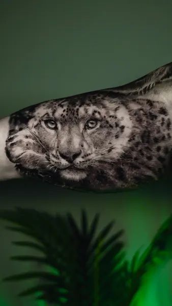 Animal