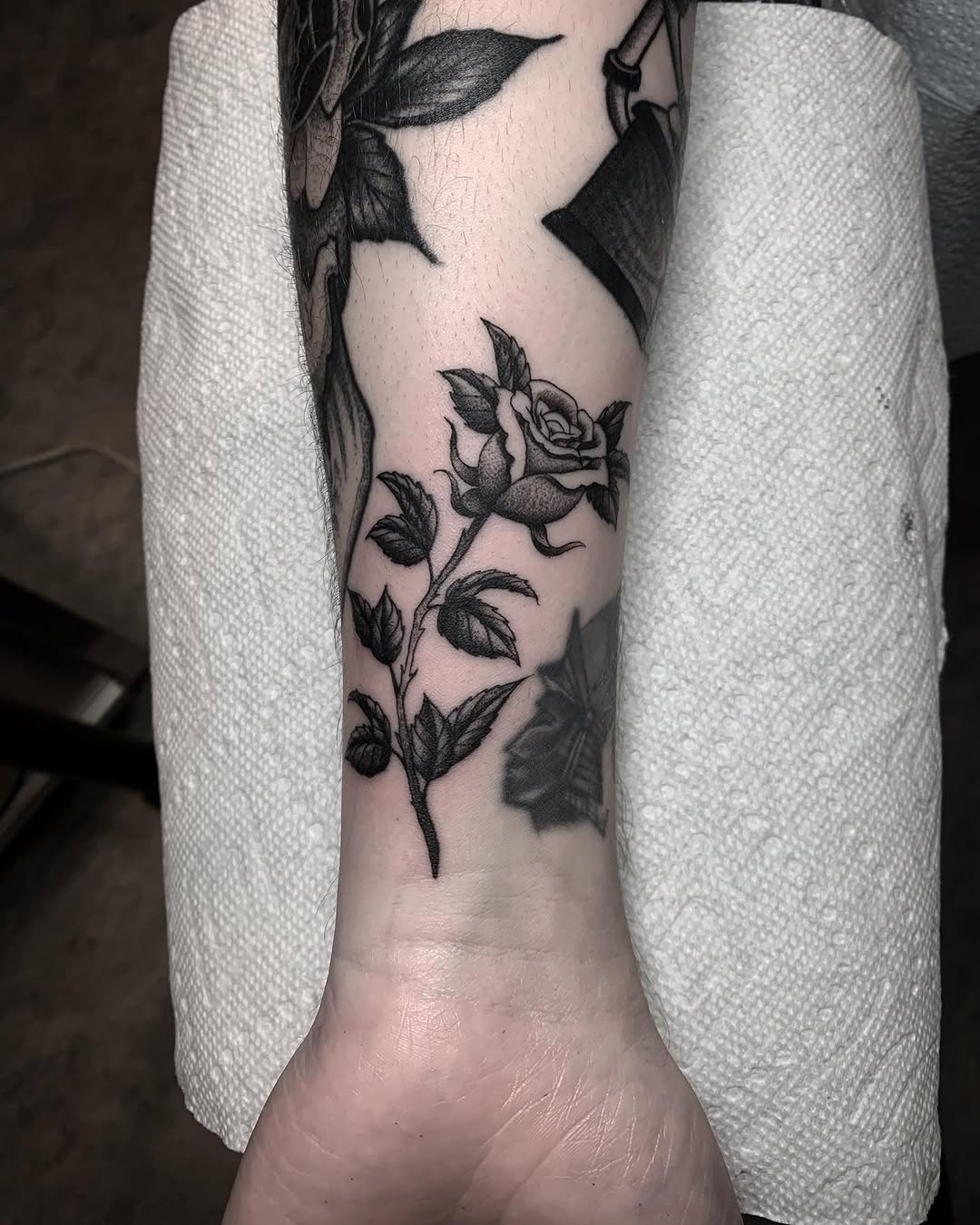Flower, Rose
