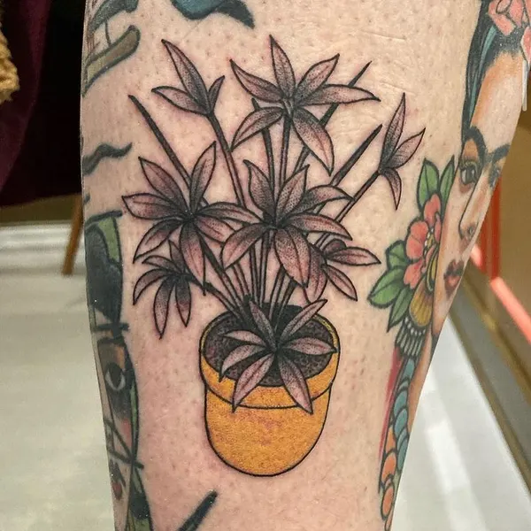 Flower, 선인장