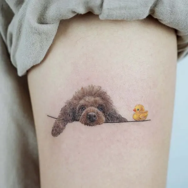 Animal, 너구리, 다람쥐, 코알라, 고슴도치, 나무늘보, 판다, 원숭이
