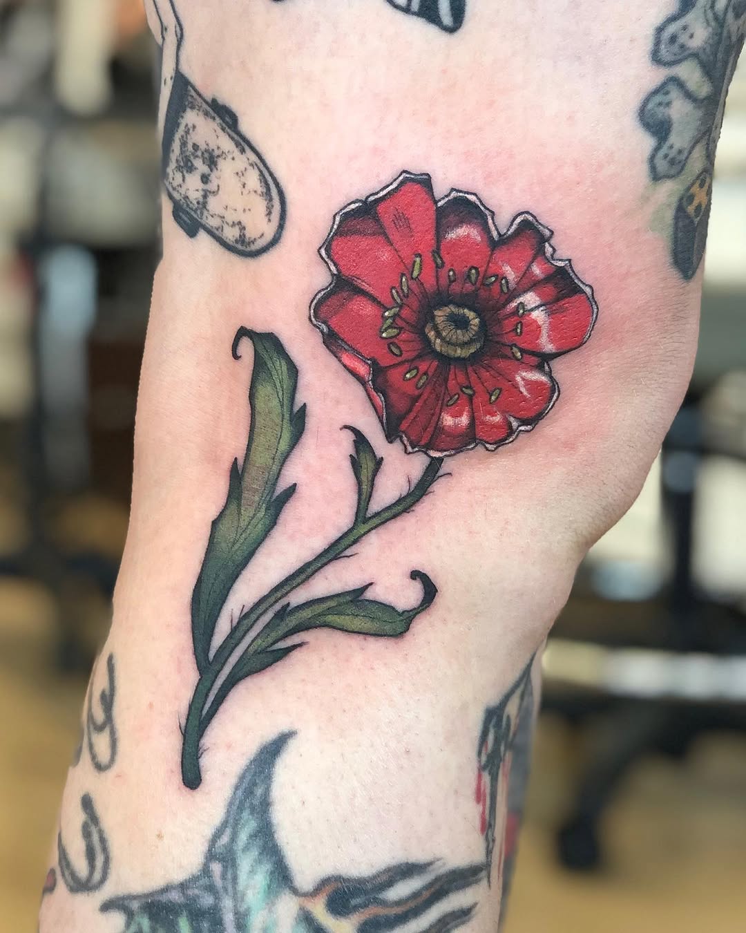 Flower, Rose
