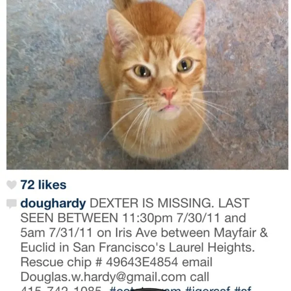 maryjoytattoo