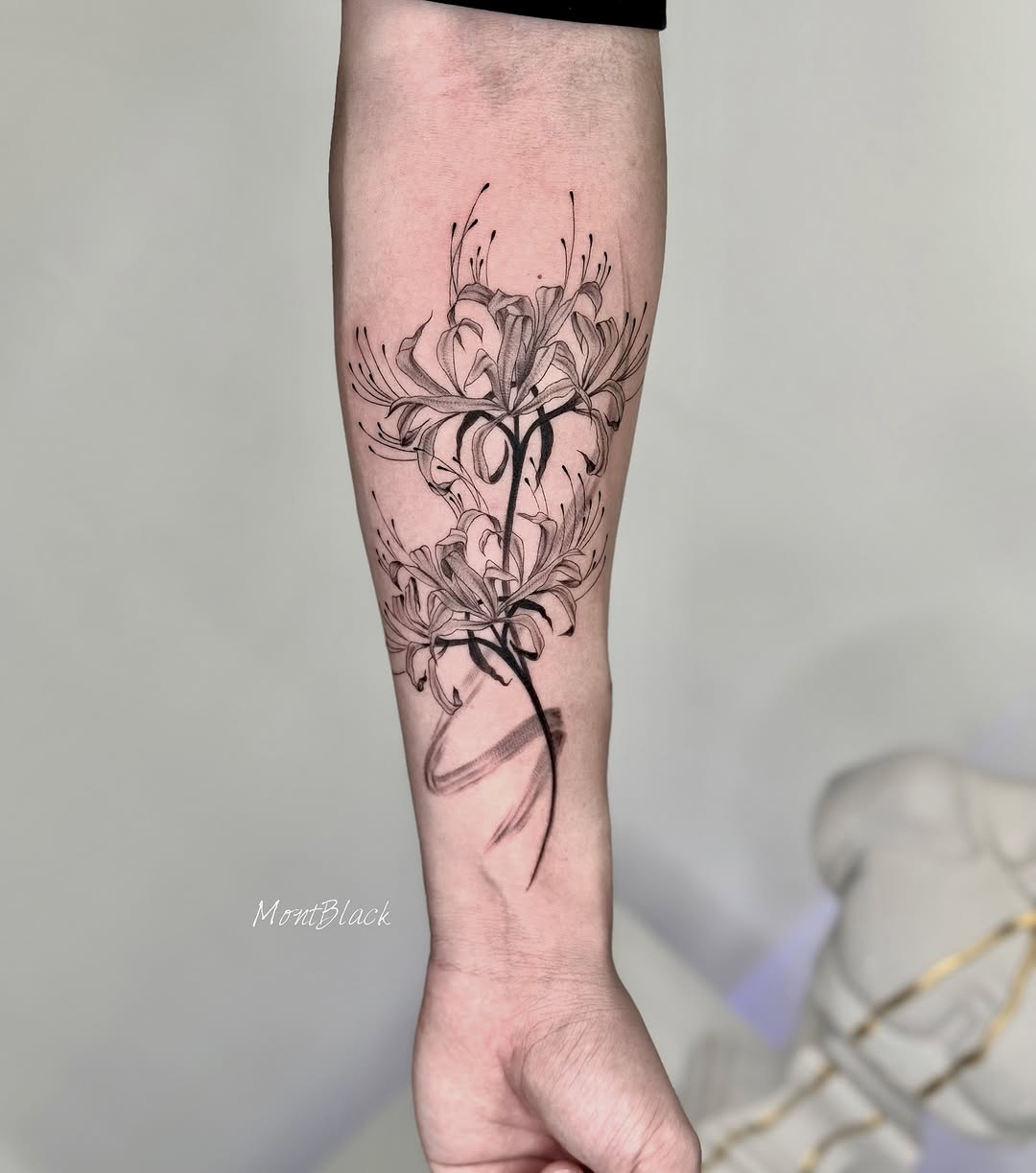 Flower, 뿌리, 덩굴, 나뭇가지