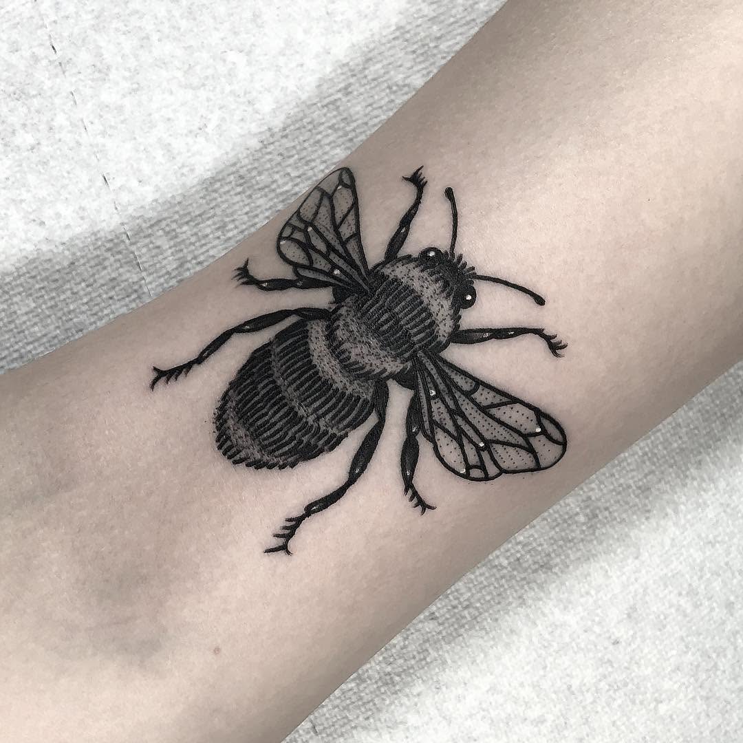 Animal, 벌, 딱정벌레
