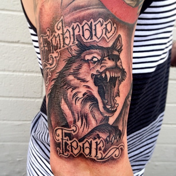 Tiger, Animal