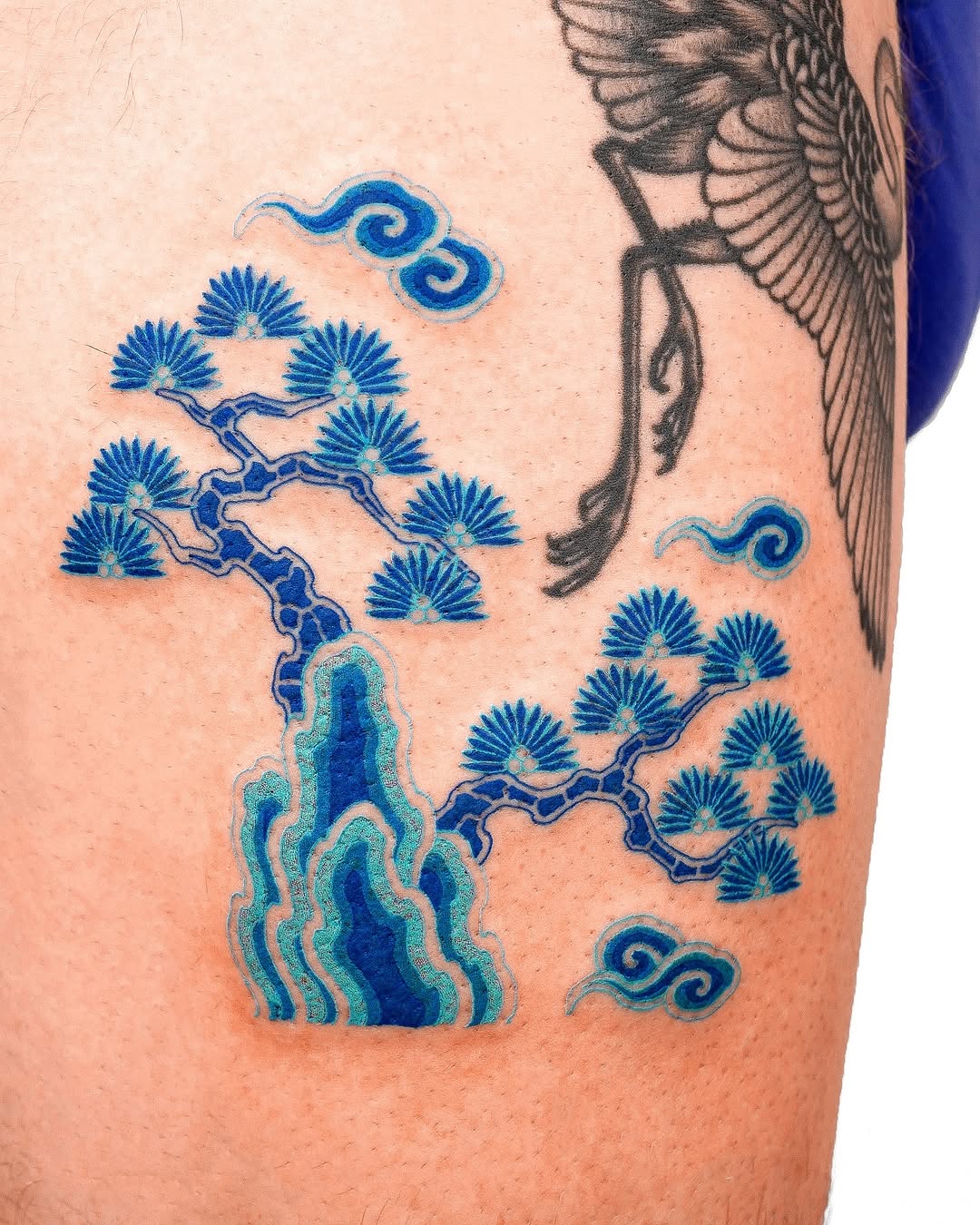 nobodytattoo