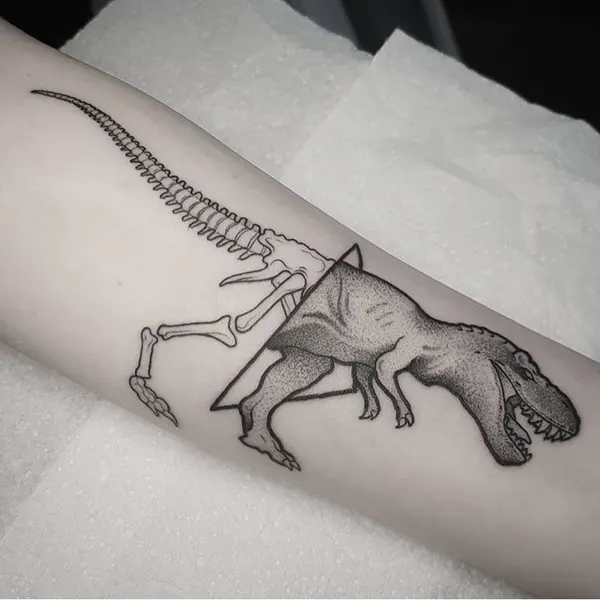 Dragon, 악어, 도마뱀