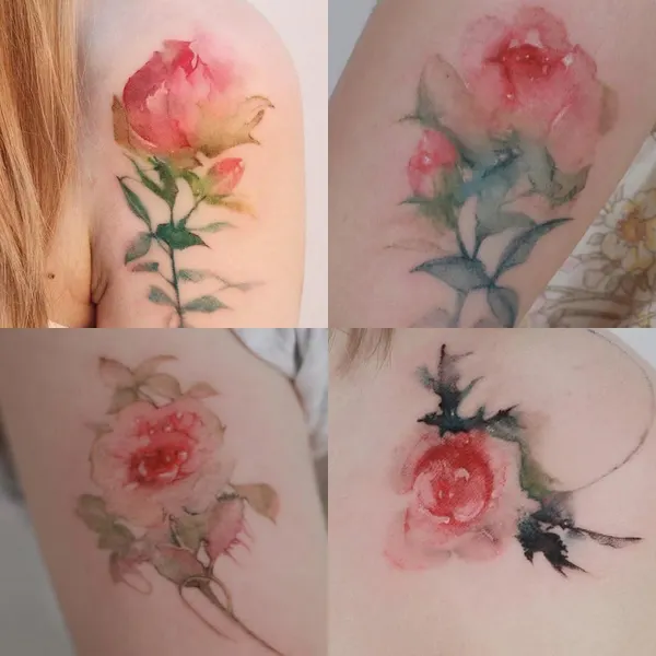 Flower, Rose