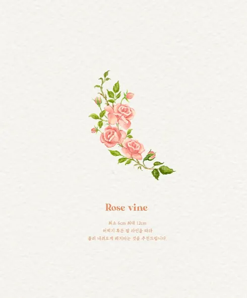 Flower, Nature, Rose