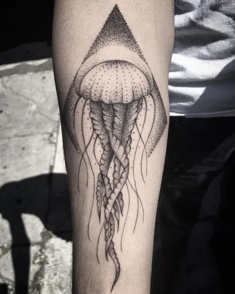 Nature, 오징어, 해파리