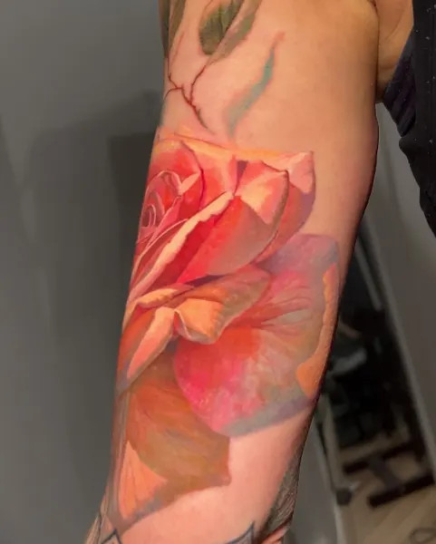 Flower, Rose, Nature