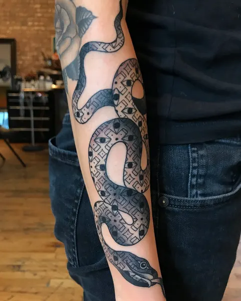 Dragon, Snake