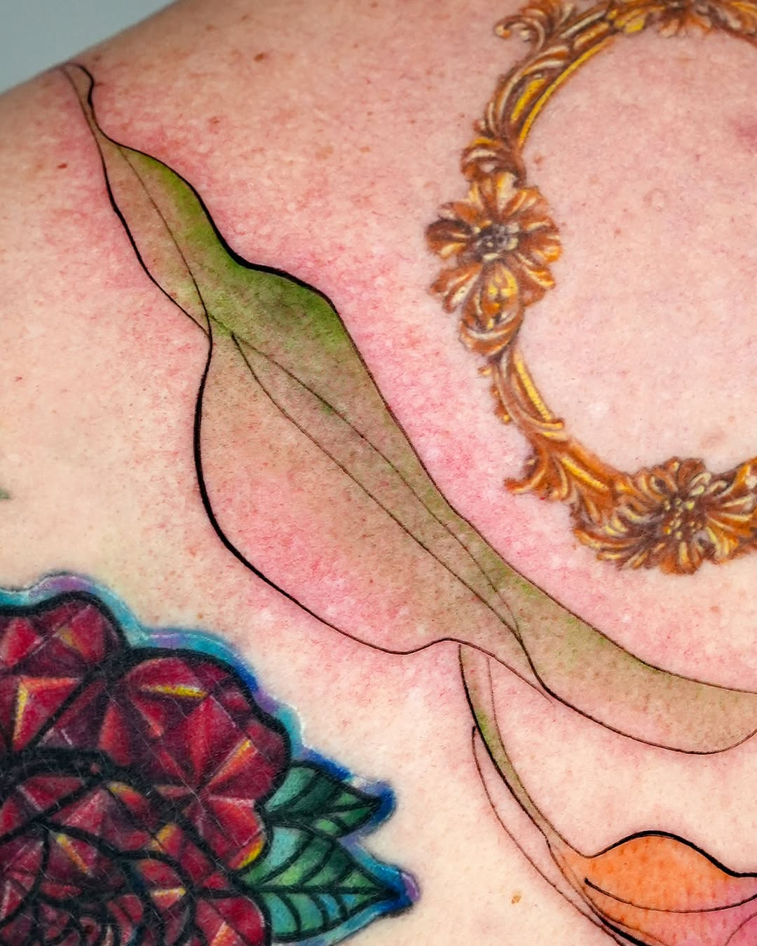 Rose, Nature, Flower