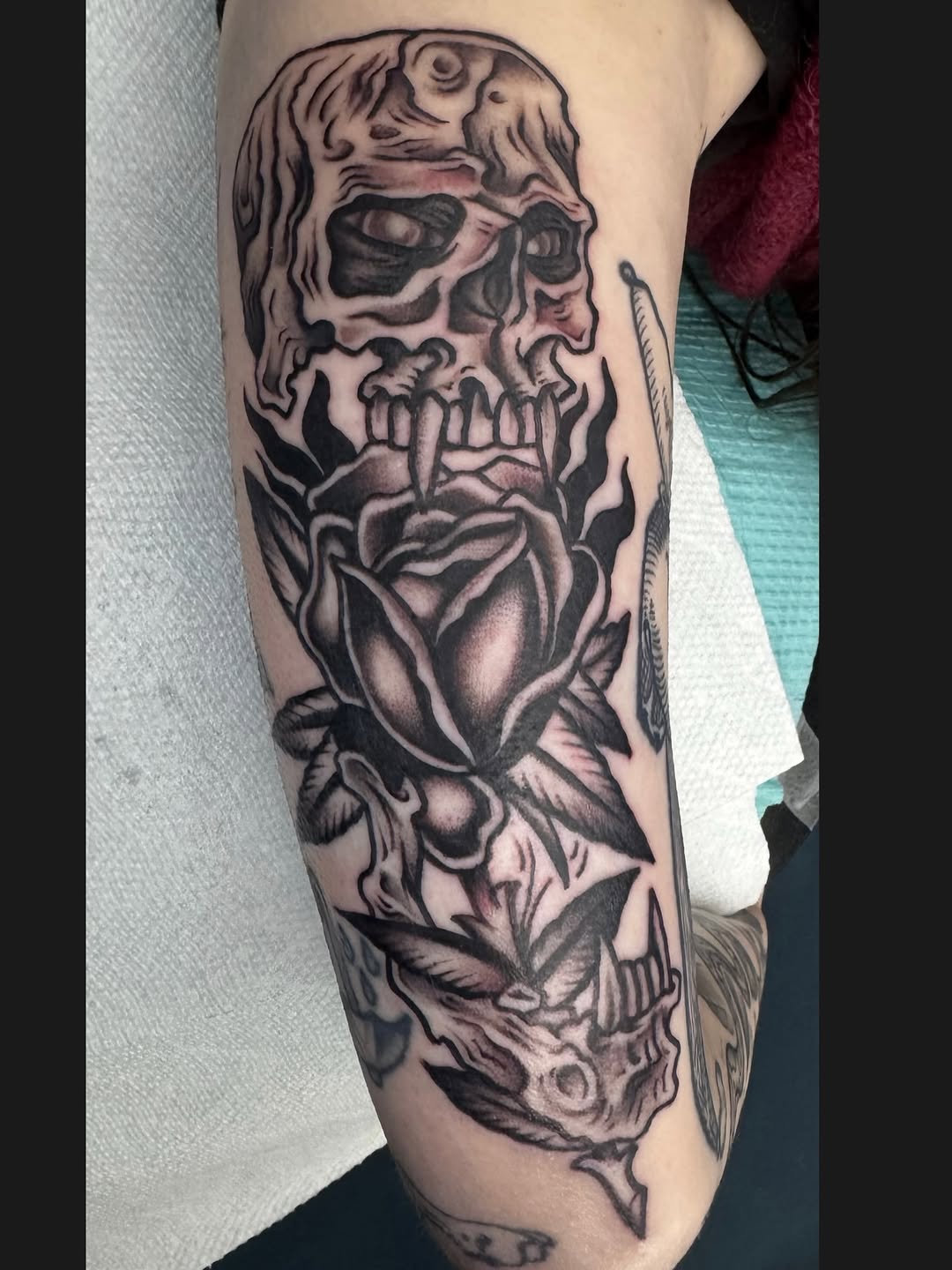 Flower, Rose