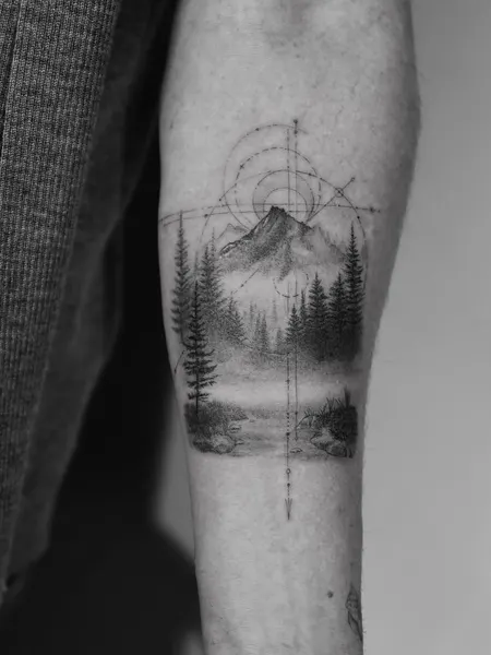 Nature, 눈, 숲, 소나무