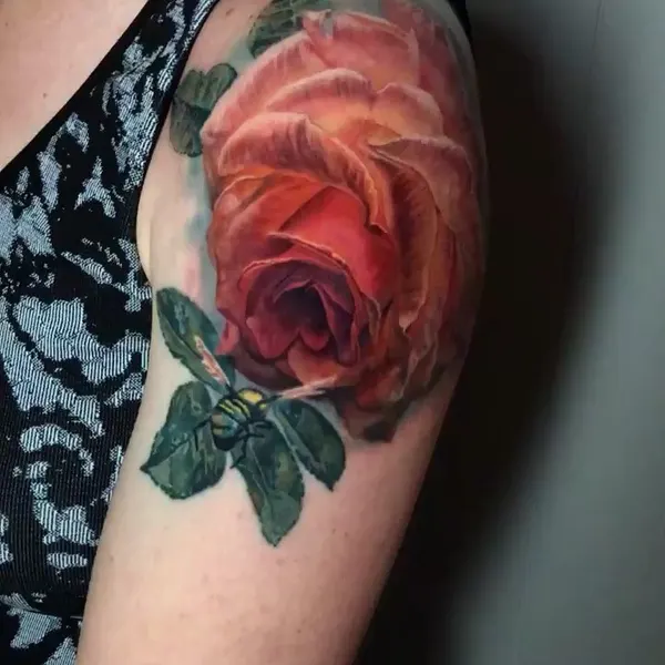 Flower, Rose, Nature