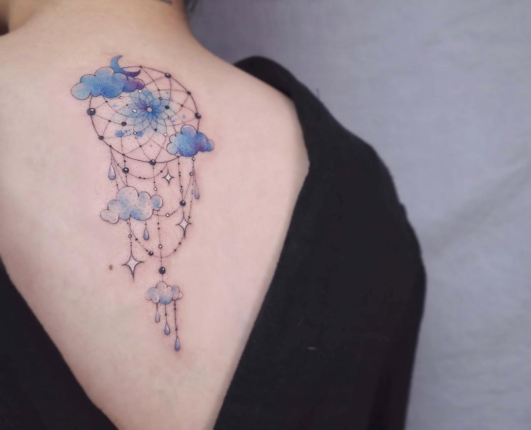 산호, 성좌, 해파리