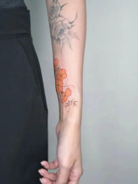 Flower, 꽃다발, 매화, 양귀비, 꽃 배경