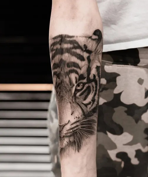 Tiger, 치타, 사자자리, 일본 호랑이, 중국 호랑이, 한국 호랑이