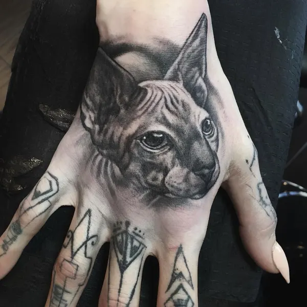 Animal