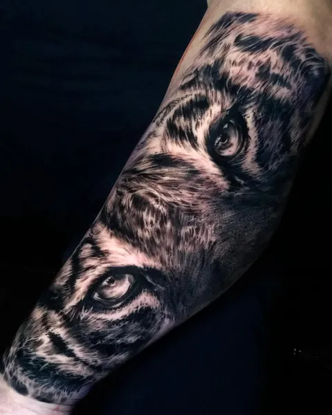 Tiger, 부엉이, 발자국