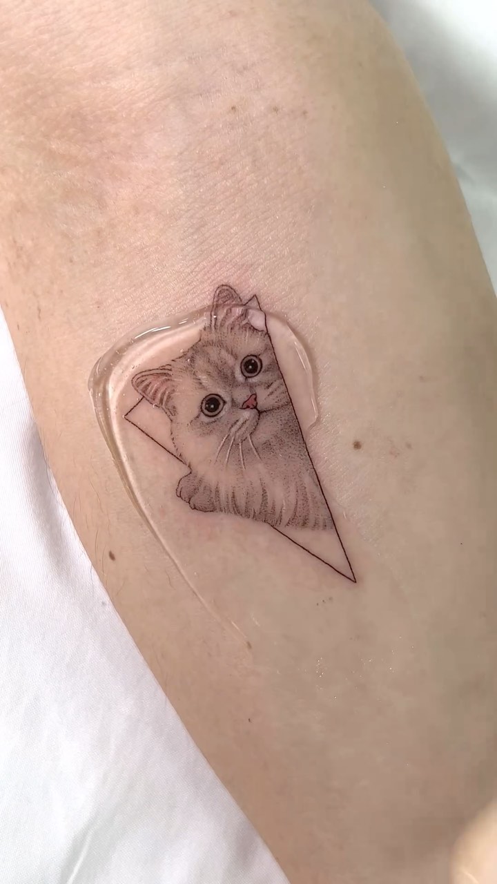 Animal