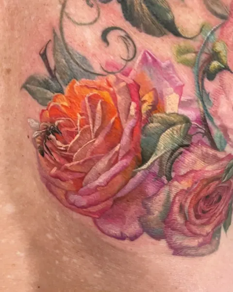 Flower, Nature, Rose