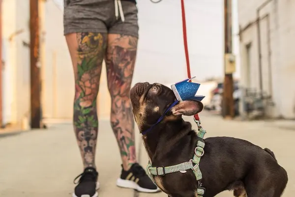 laurajadetattoos
